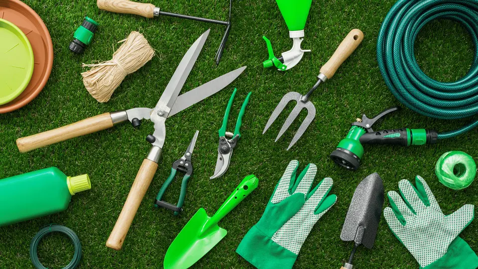 Garden maintenance in Kettering
