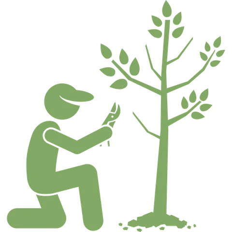 Pruning shrubs and plants