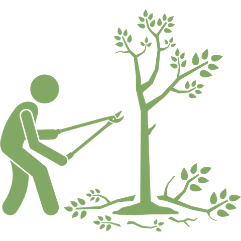 Tree reduction and removal work