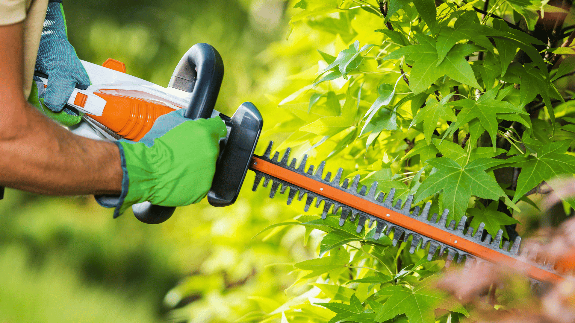 Garden maintenance in Desborough