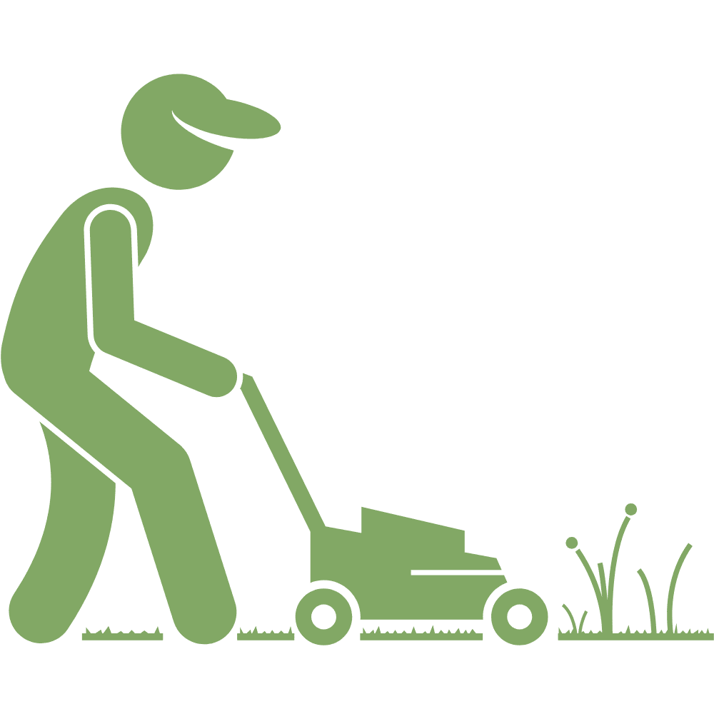 Lawn Mower