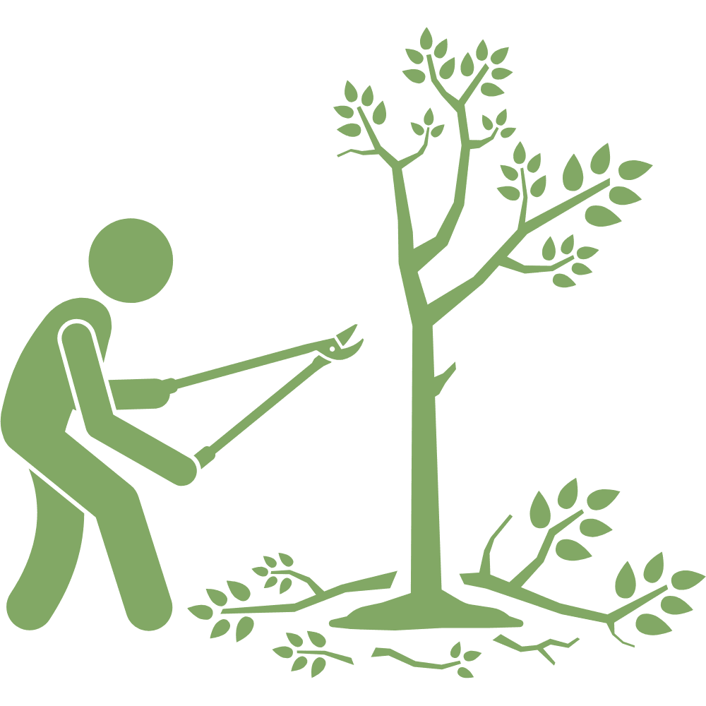Tree Reducing