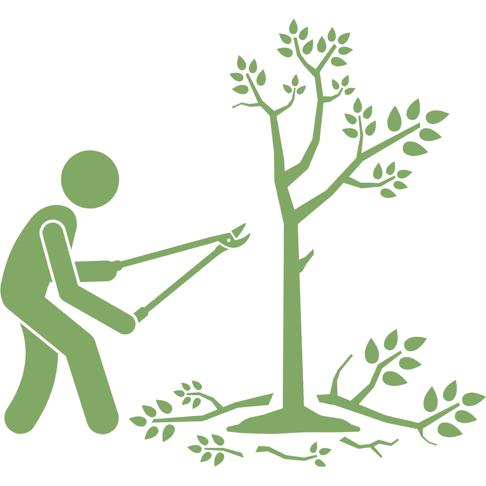Tree Reducing