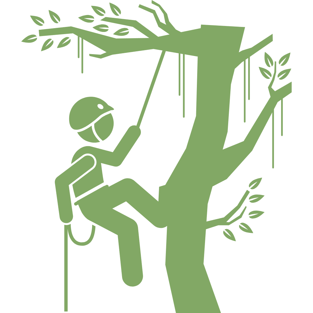 Tree Surgeon