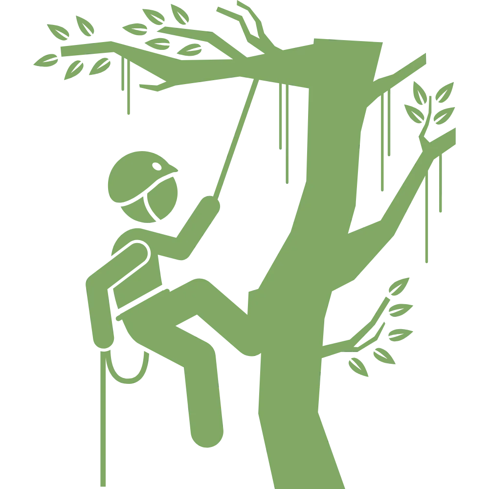 Tree Surgeon